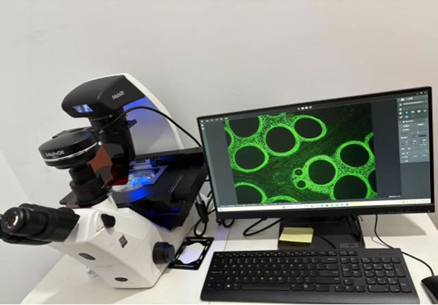 荧光倒置显微镜