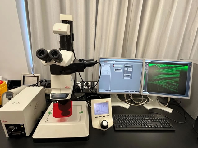 荧光体视显微镜