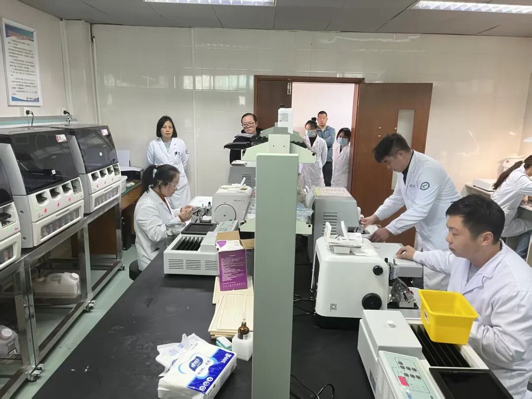 资讯|铜陵市2025年度HE切片大赛顺利举行