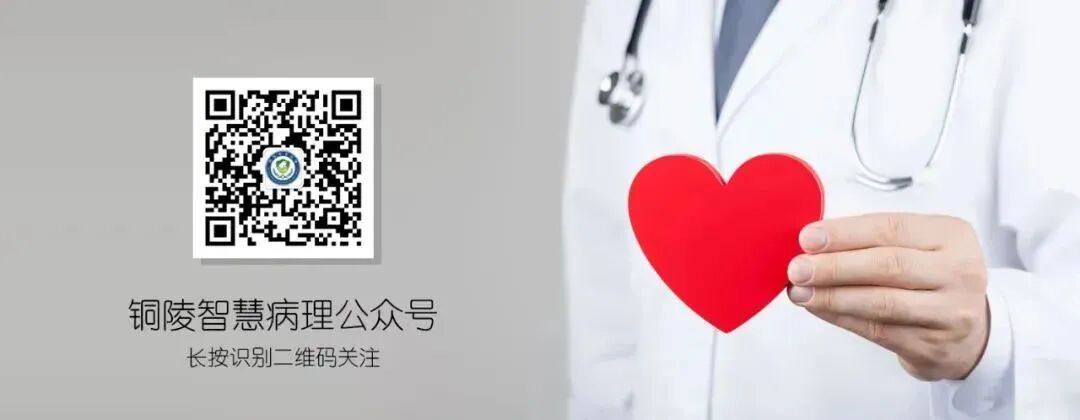 智慧病理.jpg