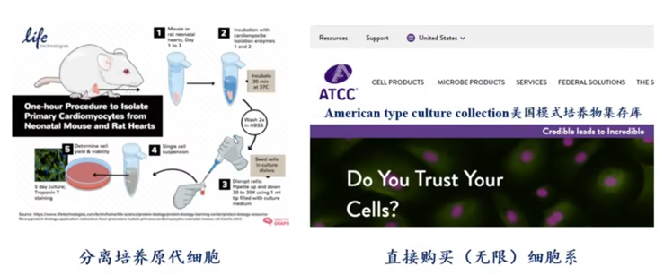 微信图片_2026-08-12_105645_644.png