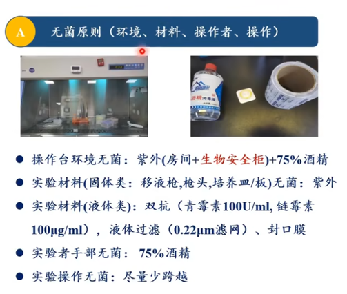 微信图片_2026-08-12_105859_025.png