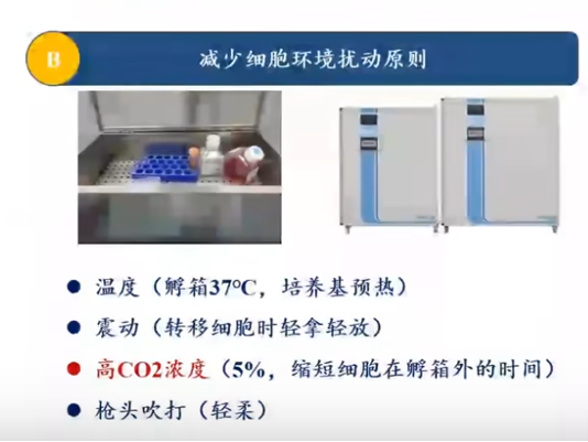 微信图片_2026-08-12_105908_194.png