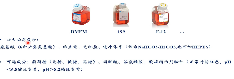 微信图片_2026-08-12_105915_451.png