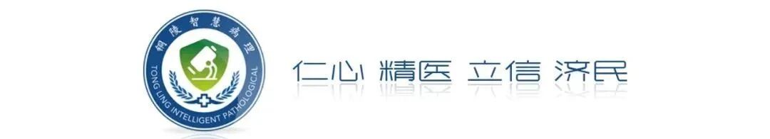 微信图片_2026-08-12_110143_121.jpg