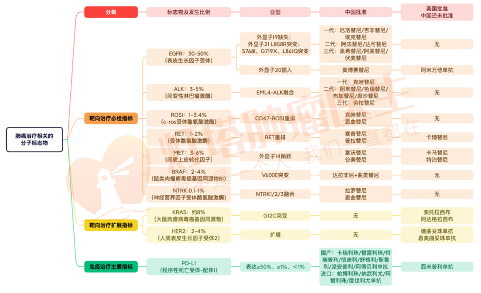 微信图片_2026-08-12_114001_474.png