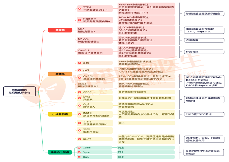 微信图片_2026-08-12_113851_850.png