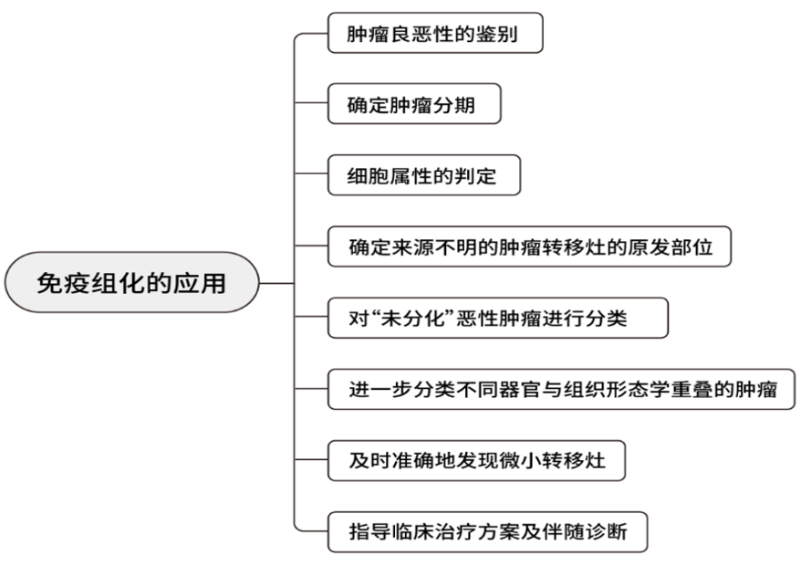 微信图片_2026-08-12_114325_673.png