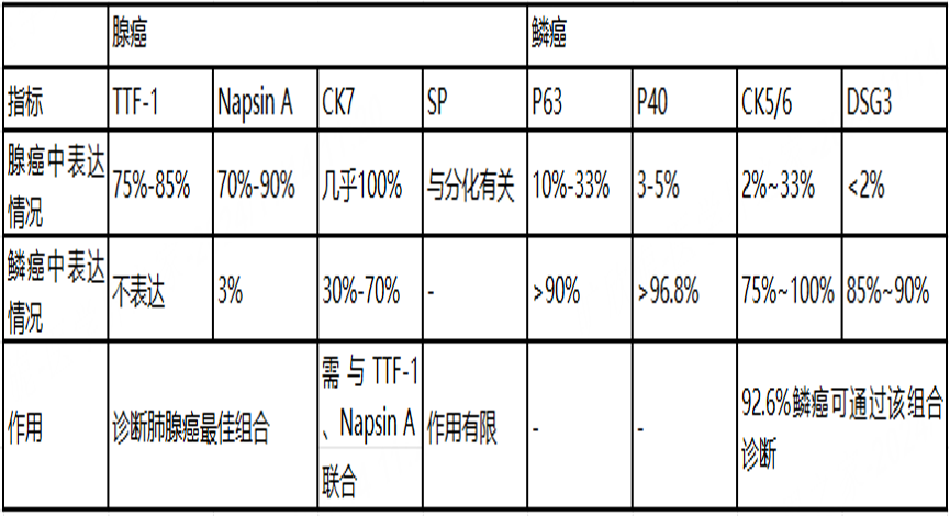 微信图片_2026-08-12_114907_392.png
